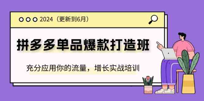 2024拼多多单品爆款打造班，充分应用你的流量，增长实战培训(更新6月)网赚库-项目库-轻创网-中创网-福缘网-冒泡网-资源之家-魔方项目库网赚库