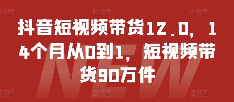 抖音短视频带货12.0，14个月从0到1，短视频带货90万件网赚库-项目库-轻创网-中创网-福缘网-冒泡网-资源之家-魔方项目库网赚库