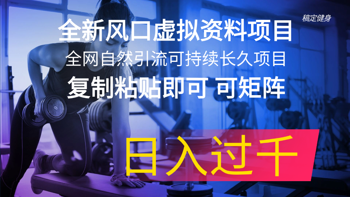 （11587期）全新风口虚拟资料项目 全网自然引流可持续长久项目 复制粘贴即可可矩阵…网赚库-项目库-轻创网-中创网-福缘网-冒泡网-资源之家-魔方项目库网赚库