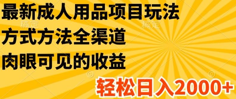 最新成人用品项目玩法，方式方法全渠道，轻松日入2K+【揭秘】网赚库-项目库-轻创网-中创网-福缘网-冒泡网-资源之家-魔方项目库网赚库