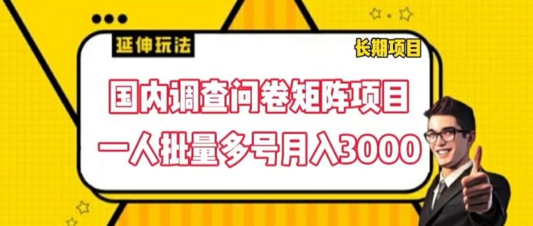 国内调查问卷矩阵项目，一人批量多号月入3000【揭秘】网赚库-项目库-轻创网-中创网-福缘网-冒泡网-资源之家-魔方项目库网赚库