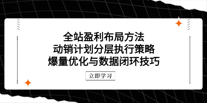 全站盈利布局方法：动销计划分层执行策略，爆量优化与数据闭环技巧网赚库-项目库-轻创网-中创网-福缘网-冒泡网-资源之家-魔方项目库网赚库