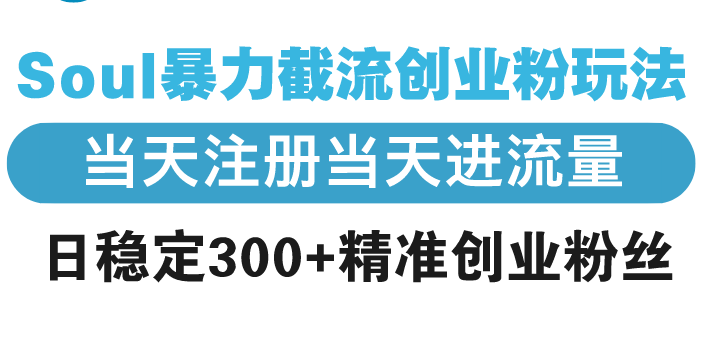 Soul暴力截流创业粉玩法，当天注册当天进流量，日稳定300+精准创业粉丝网赚库-项目库-轻创网-中创网-福缘网-冒泡网-资源之家-魔方项目库网赚库
