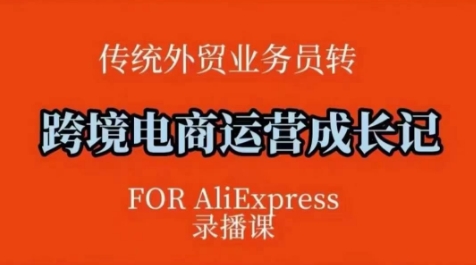 跨境电商速卖通运营课，​运营方法论+后台实操，逻辑清晰网赚库-项目库-轻创网-中创网-福缘网-冒泡网-资源之家-魔方项目库网赚库