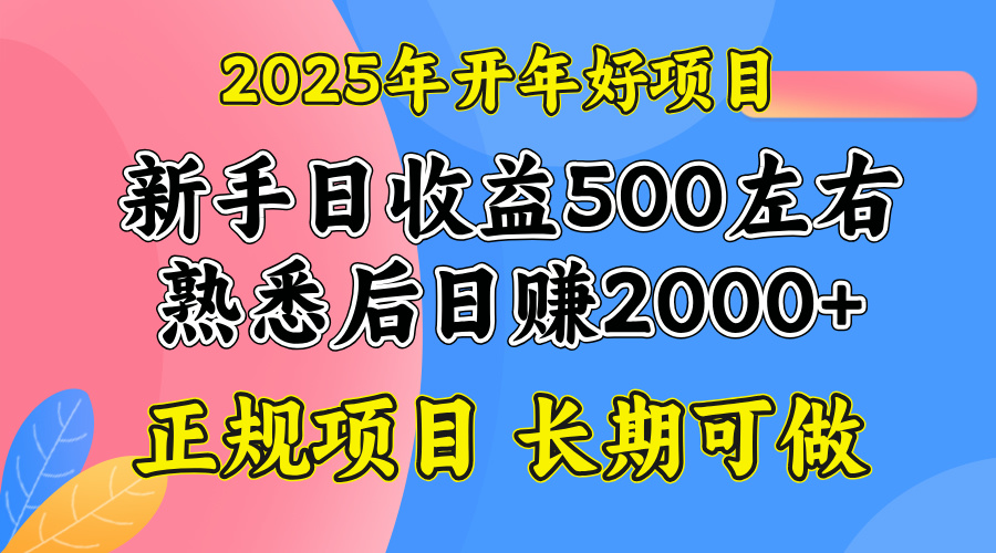 2025开年好项目，单号日收益2000左右网赚库-项目库-轻创网-中创网-福缘网-冒泡网-资源之家-魔方项目库网赚库