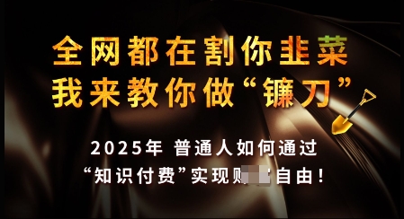 知识付费如何做到月入过W+，2025我来教你做“镰刀”【揭秘】网赚库-项目库-轻创网-中创网-福缘网-冒泡网-资源之家-魔方项目库网赚库