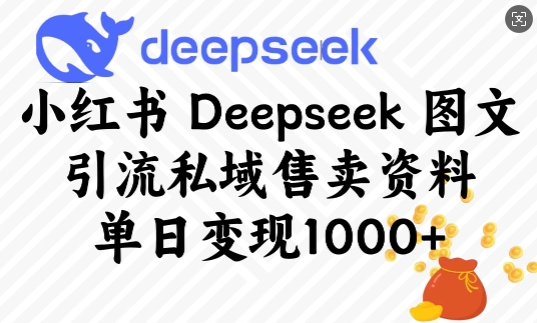 小红书Deepseek图文引流私域售卖资料，单日变现多张网赚库-项目库-轻创网-中创网-福缘网-冒泡网-资源之家-魔方项目库网赚库